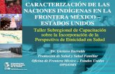 CARACTERIZACIÓN DE LAS NACIONES INDÍGENAS EN LA FRONTERA MÉXICO – ESTADOS UNIDOS Taller Subregional de Capacitación sobre la Incorporación de la Perspectiva.