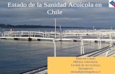 Estado de la Sanidad Acuícola en Chile Marcelo Casali Médico veterinario Unidad de Acuicultura Sernapesca mcasali@sernapesca.cl.