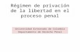 Régimen de privación de la libertad en el proceso penal Universidad Externado de Colombia Departamento de Derecho Penal.
