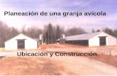 Planeación de una granja avícola Ubicación y Construcción.