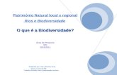 O que é a Biodiversidade? Património Natural local e regional Rios e Biodiversidade O que é a Biodiversidade? Área de Projecto 5ºD 2010/2011 Realizado.