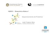 IQB201 – Bioquímica Básica I Sequenciamento de Proteínas Joab Trajano Silva Instituto de Química/UFRJ.