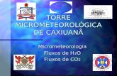 TORRE MICROMETEOROLÓGICA DE CAXIUANÃ n Micrometeorologia n Fluxos de H 2 O n Fluxos de CO 2.
