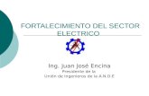 FORTALECIMIENTO DEL SECTOR ELECTRICO Ing. Juan José Encina Presidente de la Unión de Ingenieros de la A.N.D.E.