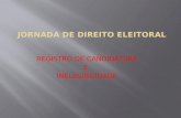 REGISTRO DE CANDIDATURA E INELEGIBILIDADE. 01 ano antes do pleito (RES. 23.221/2010) Partido : ter seu estatuto registrado no TSE Candidato: possuir domicílio.