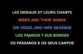 LES OISEAUX ET LEURS CHANTS BIRDS AND THEIR SONGS DIE VÖGEL UND IHRE GESÄNGE LOS PÁJAROS Y SUS BORDES OS PÁSSAROS E OS SEUS CANTOS.