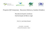 C Proyecto GEF Amazonas - Recursos Hídricos y Cambio Climático Reunião de Experts Jurídicos Harmonização do Marco Legal Prof. Dr. José Heder Benatti 13.11.2013.