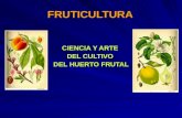 Fruticultura 2011