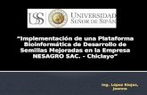 Implementación de una Plataforma Bioinformática de Desarrollo de Semillas Mejoradas en la Empresa NESAGRO SAC. - Chiclayo Ing. López Riojas, Joanna.