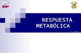Fisiologia - Respuesta Metabolica Al Trauma[1]