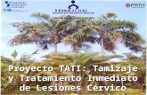 DIRECCIÓN REGIONAL DE SALUD DE SAN MARTÍN Proyecto TATI: Tamizaje y Tratamiento Inmediato de Lesiones Cérvico Uterinas.