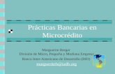 Prácticas Bancarias en Microcrédito Marguerite Berger División de Micro, Pequeña y Mediana Empresa Banco Inter-Americano de Desarrollo (BID) margueriteb@iadb.org.