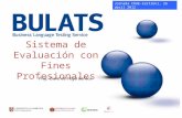_______________________ Sistema de Evaluación con Fines Profesionales Prof. Clara de Vega Santos Jornada CRUE-CertiUni, 26 abril 2012.
