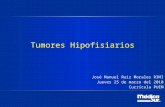 Tumores Hipofisiarios José Manuel Ruiz Morales R3MI Jueves 25 de marzo del 2010 Currícula PUEM.