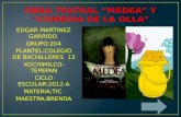 EDGAR MARTINEZ GARRIDO GRUPO:204 PLANTEL:COLEGIO DE BACHILLERES 13 XOCHIMILCO-TEPEPAN CICLO ESCOLAR:2012-A MATERIA:TIC MAESTRA:BRENDA.