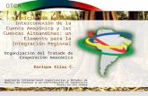 OTCA Iniciativa para la Interconexión de la Cuenca Amazónica y las Cuencas Altoandinas: un Elemento para la Integración Regional Enrique Elías C. Organización.