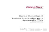 Curso practico Genexus X