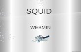 SQUID WEBMIN Manuel Morales. Servidor Squid 1- Ingresar a Webmin. 2- Opción Squid - servidor proxy. Manuel Morales.