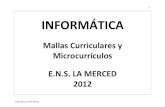 Malla Curricular y Microcurriculo de Informática