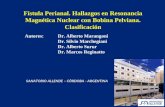 Fístula Perianal. Hallazgos en Resonancia Magnética Nuclear con Bobina Pelviana. Clasificación Autores: Dr. Alberto Marangoni Dr. Silvio Marchegiani Dr.
