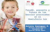 Pasado, presente y futuro de los berries procesados en el Hemisferio Sur Antonio Dominguez D. Director Chilealimentos Presidente IRO Director Nevada Export.