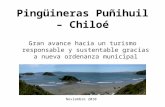 Pingüineras Puñihuil – Chiloé Gran avance hacia un turismo responsable y sustentable gracias a nueva ordenanza municipal Noviembre 2010.