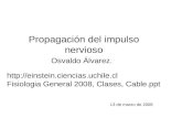 Propagación del impulso nervioso 13 de marzo de 2008 Osvaldo Álvarez.  Fisiologia General 2008, Clases, Cable.ppt.