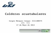 Calderas acuatubulares Sergio Márquez Vargas 2111100575 6*CT/V 17 de Mayo de 2013.