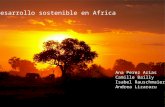 El desarrollo sostenible en Africa Ana Perez Arias Camille Bailly Isabel Rauschmaier Andrea Lizarazu.