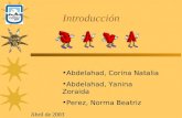 Introducción Abdelahad, Corina Natalia Abdelahad, Yanina Zoraida Perez, Norma Beatriz Abril de 2003.