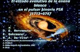 El estado evolutivo de la enana blanca en el pulsar binario PSR J1713+0747 O. G. Benvenuto 1, 2, R. Rohrmann 3, M. A. De Vito 2, 4 1- Departamento de Astronomía.