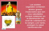 Los aceites vegetales contienen ácidos grasos insaturados que son muy saludables porque colaboran en la disminución del nivel de colesterol en la sangre.