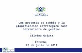 0 RPBA-021-133 Los procesos de cambio y la planificación estratégica como herramienta de gestión Silvina Gvirtz Córdoba 20 de julio de 2011.