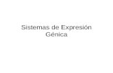 Sistemas de Expresión Génica. Objetivo Conocer el diseño de una estrategia para expresión de proteínas Conocer los sistemas de expresión génica en bacterias,