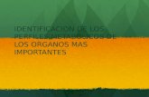 IDENTIFICACION DE LOS PERFILES METABOLICOS DE LOS ORGANOS MAS IMPORTANTES.
