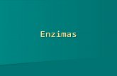 Enzimas. Enzimas las enzimas son catalizadores biológicos responsables de que el conjunto de reacciones del metabolismo celular transcurra ordenadamente.