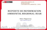 25 de Mayo de 2012 REPORTE DE INFORMACION AMBIENTAL REGIONAL-RIAR DIRECCIÓN GENERAL DE INVESTIGACIÓN E INFORMACIÓN AMBIENTAL - DGIIA Eber Figueroa efigueroa@minam.gob.pe.