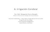 6. Pdf Irrigación Cerebral