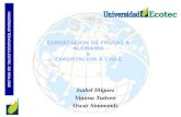 Isabel Iñiguez Vianna Tutiven Oscar Simmonds UNIVERSIDAD TECNOLOGICA ECOTEC. ISO 9001:2008.