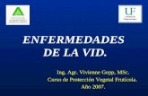 ENFERMEDADES DE LA VID. Ing. Agr. Vivienne Gepp, MSc. Curso de Protección Vegetal Frutícola. Año 2007.