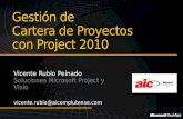 Gestión de Cartera de Proyectos con Project 2010.