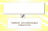 También microbiología industrial Biotecnolo gía: Uso de microorganismos vivos o de sus productos en procesos industriales o ambientales a gran escala.