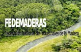 LA INDUSTRIA FORESTAL EN COLOMBIA C° BOSQUE PLANTADO TRANSFORMACION MUEBLES PRODUCTOS PROVEEDORES LA CADENA PRODUCTIVA BOSQUE NATURAL.