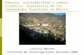 Pobreza, vulnerabilidad y cambio climático. Experiencia de las comunidades forestales en México. Leticia Merino Instituto de Investigaciones Sociales-UNAM.
