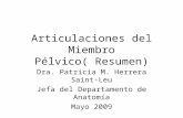 Articulaciones del Miembro Pélvico( Resumen) Dra. Patricia M. Herrera Saint-Leu Jefa del Departamento de Anatomía Mayo 2009.