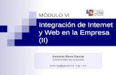 Integración de Internet y Web en la Empresa (II) MÓDULO VI Antonio Mora García Universidad de Granada amorag@geneura.ugr.es.