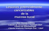 Lesiones potencialmente cancerizables de la mucosa bucal Dra. Mariela Cuestas Cátedra de Semiología y Patología BMF - Clínica de Estomatología- Cátedra.