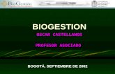 BIOGESTION OSCAR CASTELLANOS PROFESOR ASOCIADO BOGOTÁ, SEPTIEMBRE DE 2002.