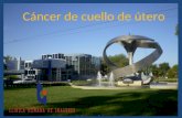 Cáncer de cuello de útero. Clínica Humana de Imágenes Unidad Integral de Oncología Dr. Eduardo J. Labat Dr. Jorge Audisio Dr. Darío Cassina Dr. Flavio.