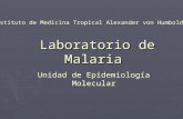 Laboratorio de Malaria Laboratorio de Malaria Instituto de Medicina Tropical Alexander von Humboldt Unidad de Epidemiología Molecular.